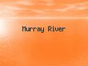 Murray River (1)